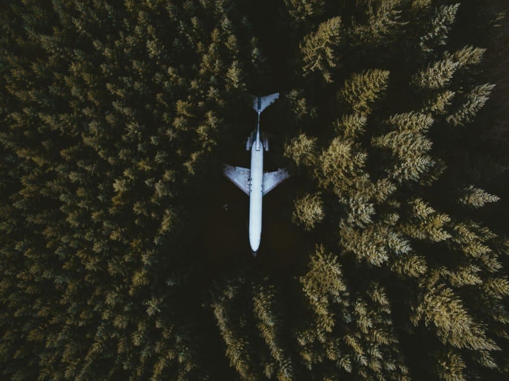 Reducing carbon footprint with virtual solutions a plane in the forest